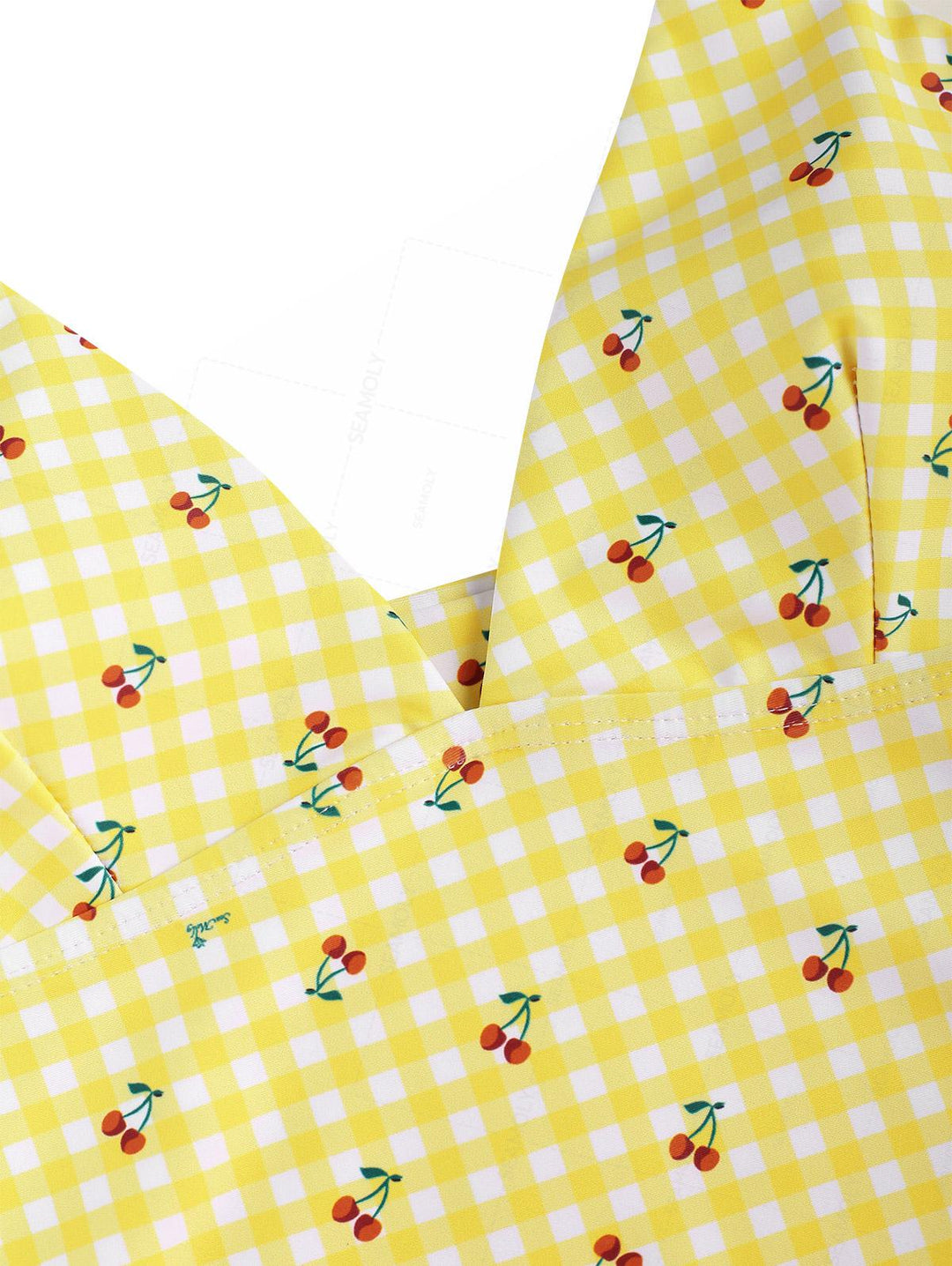 Seamolly Retro Pin-Up Vintage Gingham Cherry Plunging Neck Halter Tied Full Coverage Tankini Set