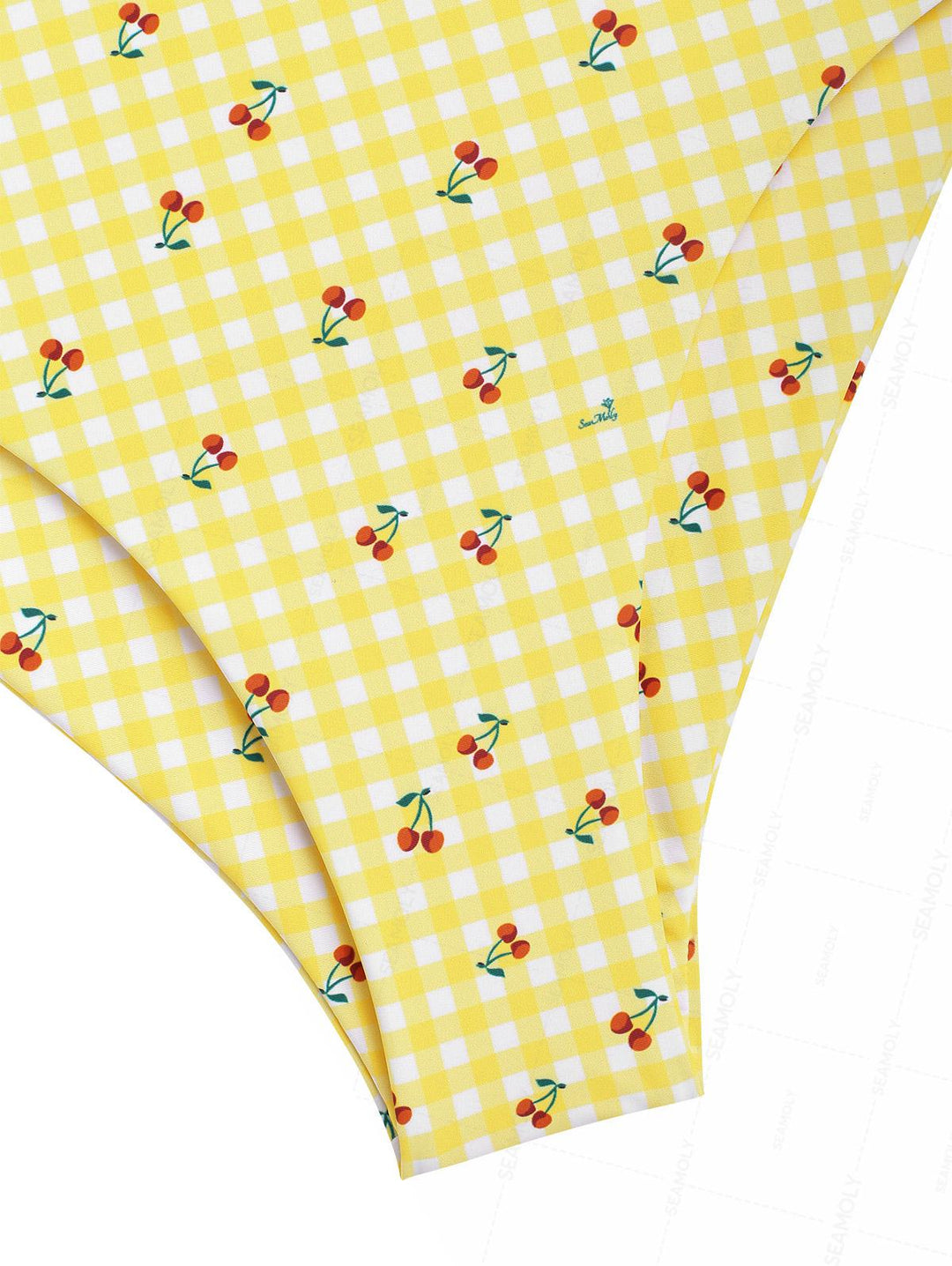 Seamolly Retro Pin-Up Vintage Gingham Cherry Plunging Neck Halter Tied Full Coverage Tankini Set