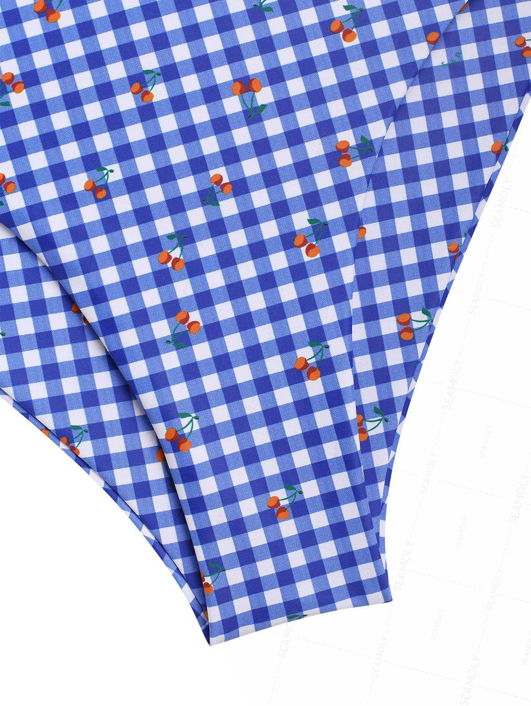 Seamolly Retro Pin-Up Vintage Gingham Cherry Plunging Neck Halter Tied Full Coverage Tankini Set