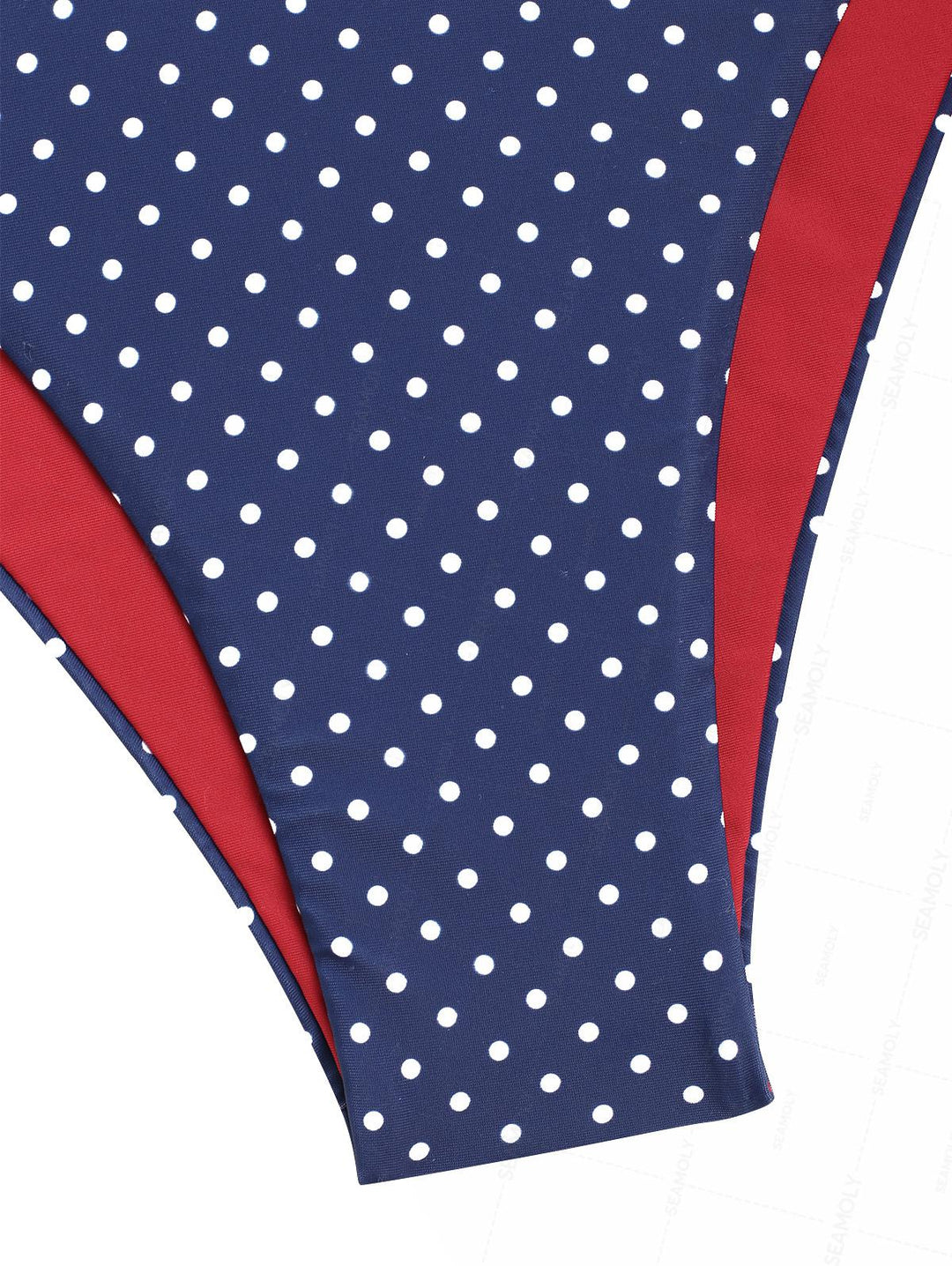 Seamolly Polka Dot Print O Ring Cinched Tie Side Hipster Bikini Set