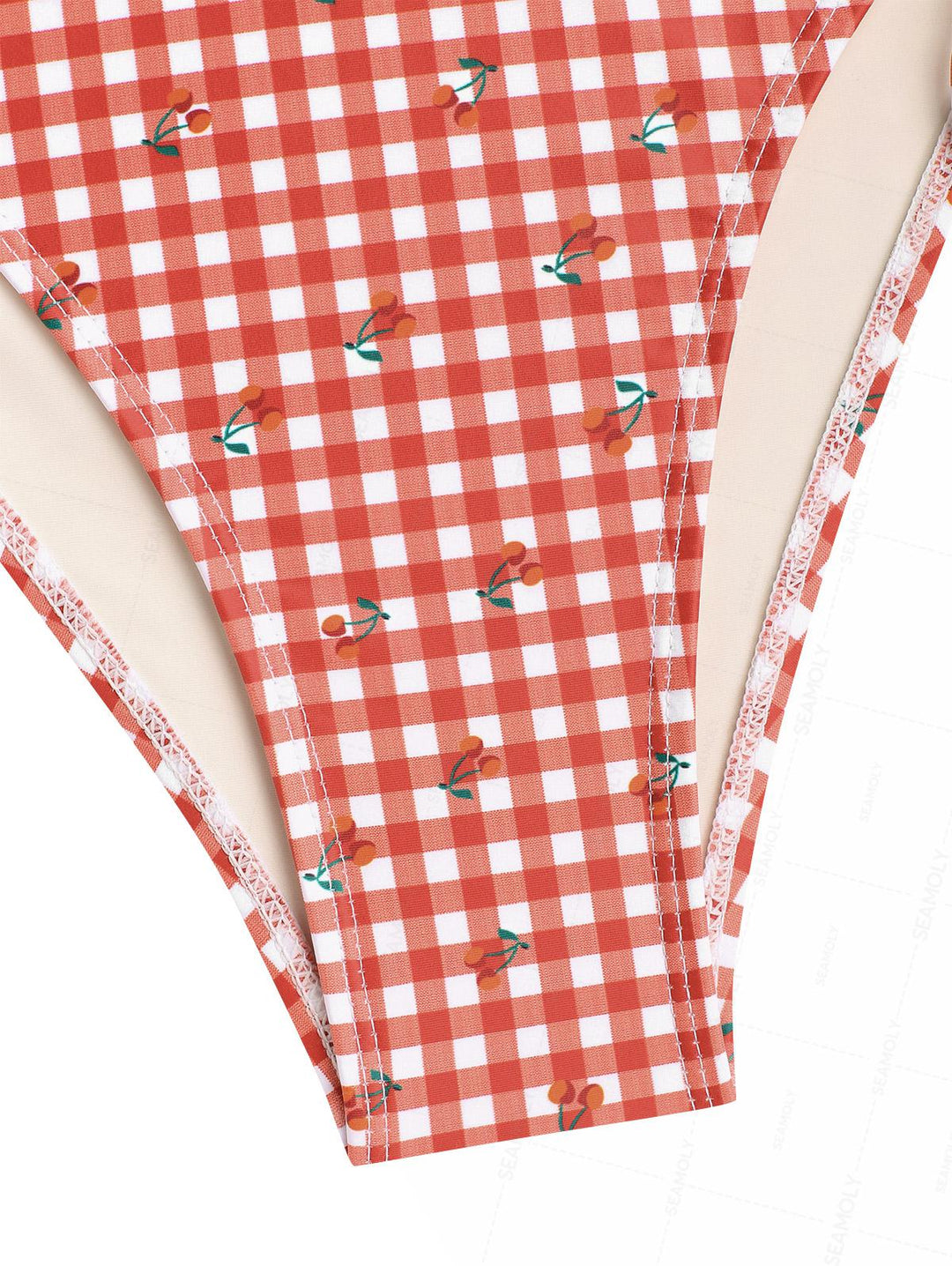 Seamolly Retro Vintage Gingham Cherry Print Bowknot Cinched Tied Tankini Set