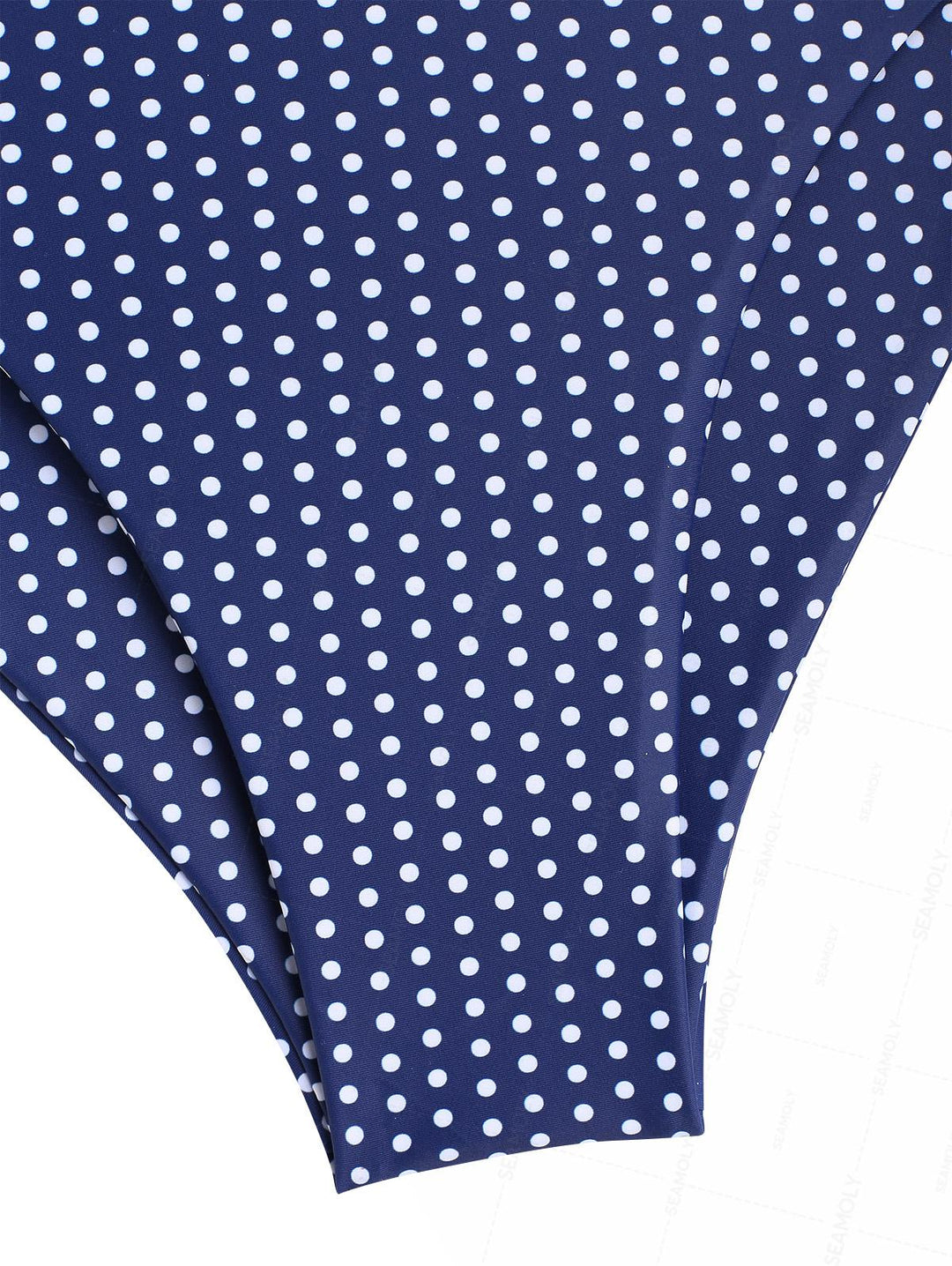 Seamolly Polka Dot Print Deep V Neck Halter Tied Tankini Set