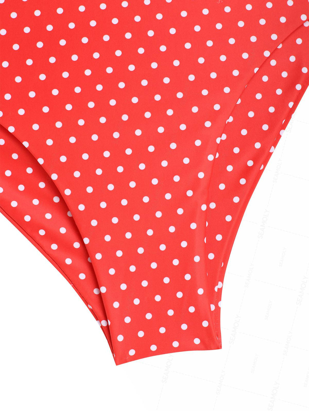 Seamolly Polka Dot Print Deep V Neck Halter Tied Tankini Set