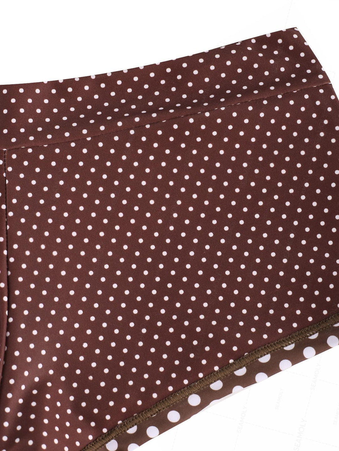 Seamolly Colorblock Polka Dot Print Swim Bottom Bikini Boyshorts