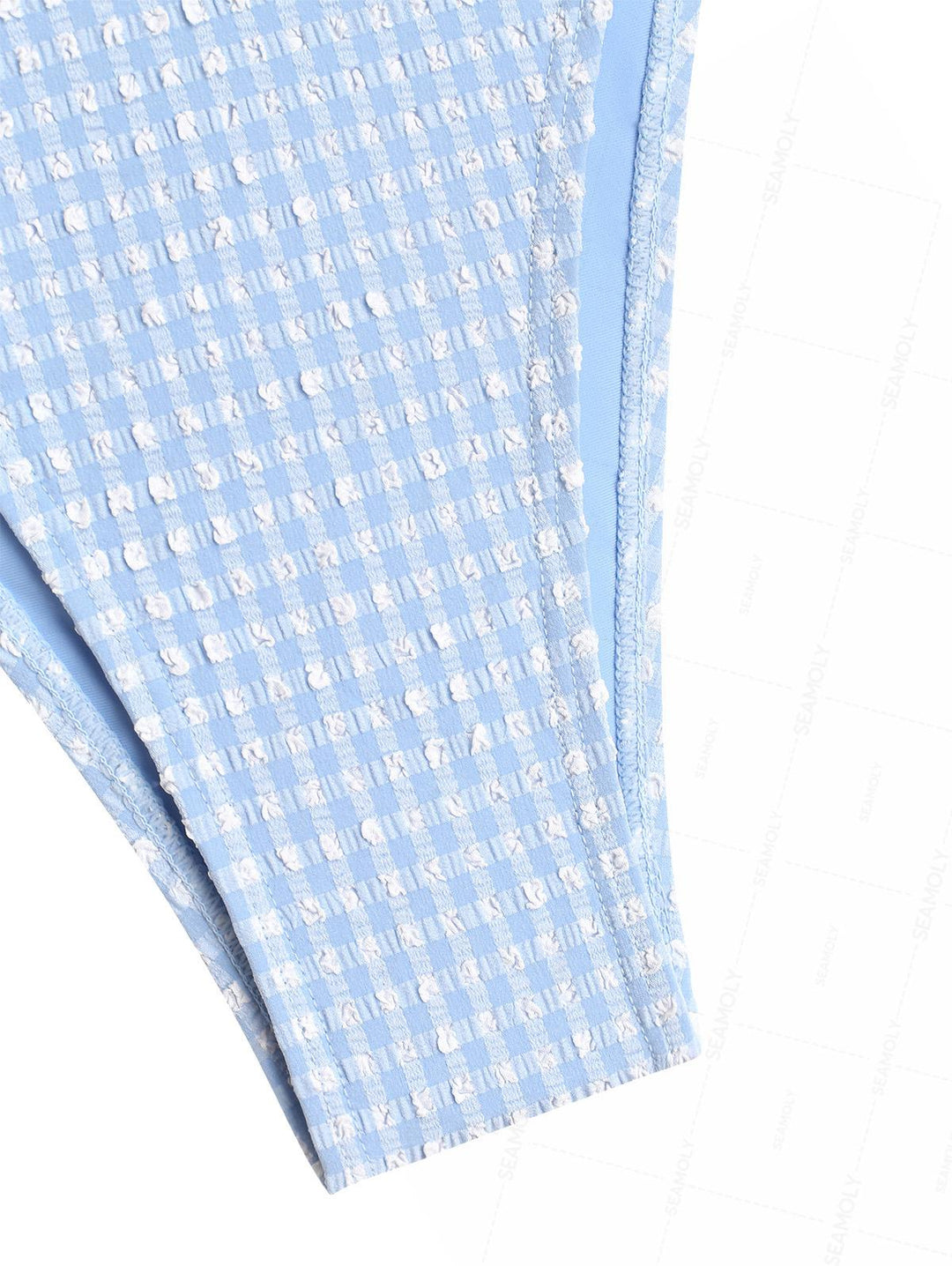 Seamolly Gingham Textured Ruched Bowknot Cheeky Tankini Set