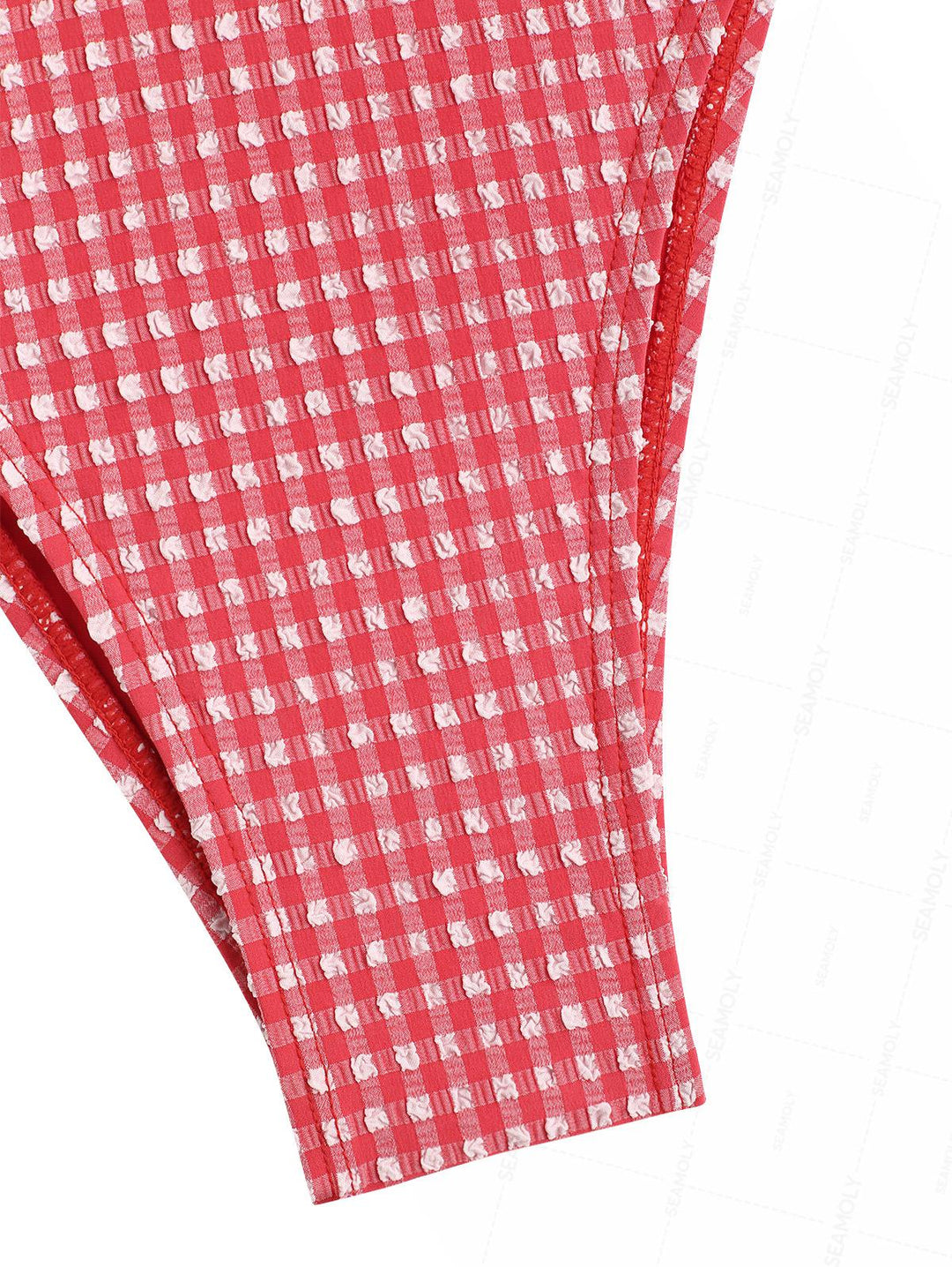 Seamolly Gingham Textured Ruched Bowknot Cheeky Tankini Set