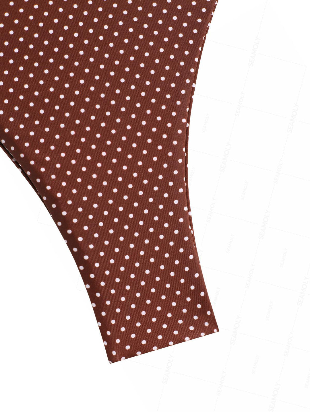 Seamolly Polka Dot Asymmetrical Hem Cinched Cheeky Cami Tankini Set