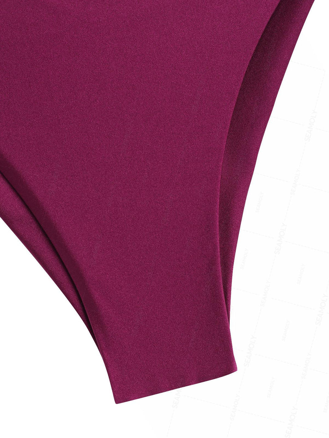 Seamolly Vintage Ruched U-ring Metal Lace Up Bandeau Top & Brazilian Bottom Bikini Set