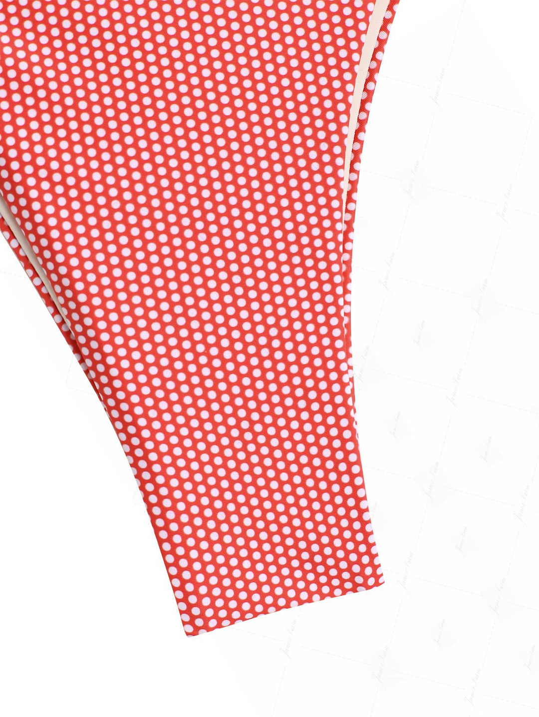 Janex Cherry Red Polka Dot Print Tie Side Double Layer Bikini Set