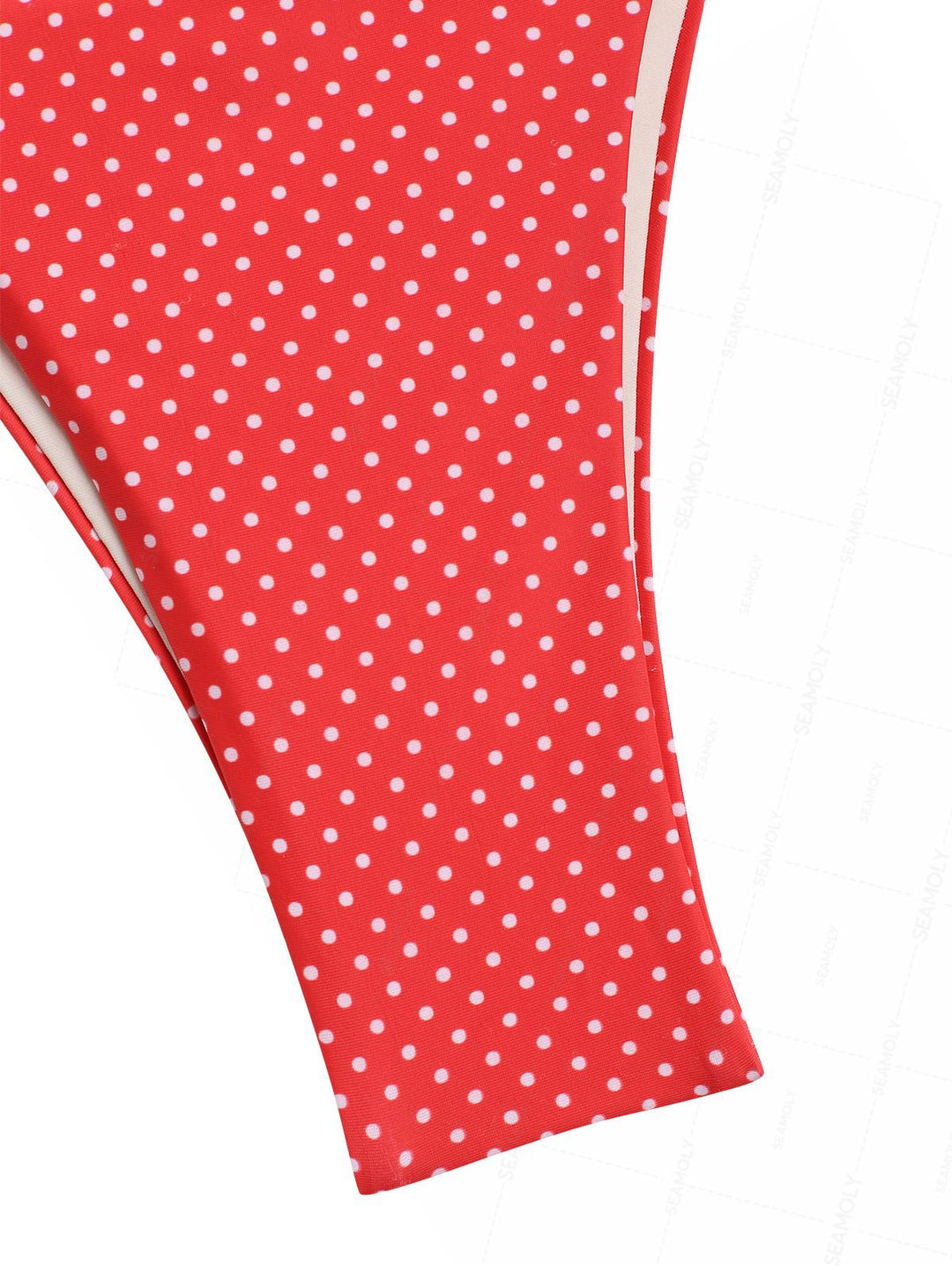 Seamolly Polka Dot Print Double Layer 2 In 1 Tie Side Bikini Set