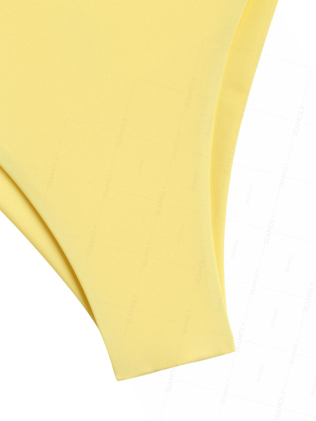 Seamolly Ruched U-ring Metal Lace Up Bandeau Top & Brazilian Bottom Bikini Set