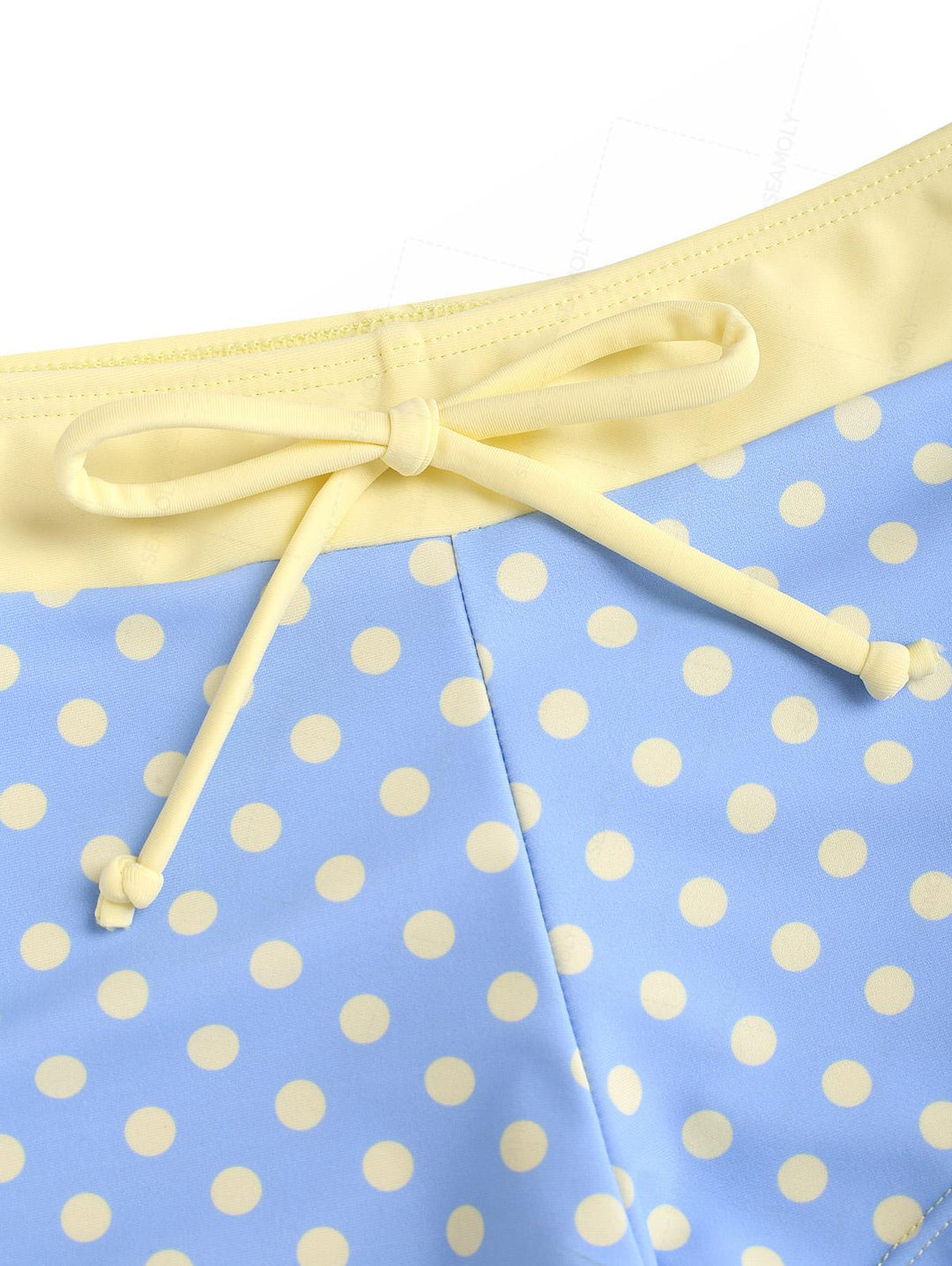Seamolly Polka Dot Print Lace Bowknot Cheeky Boyshorts Bikini Set