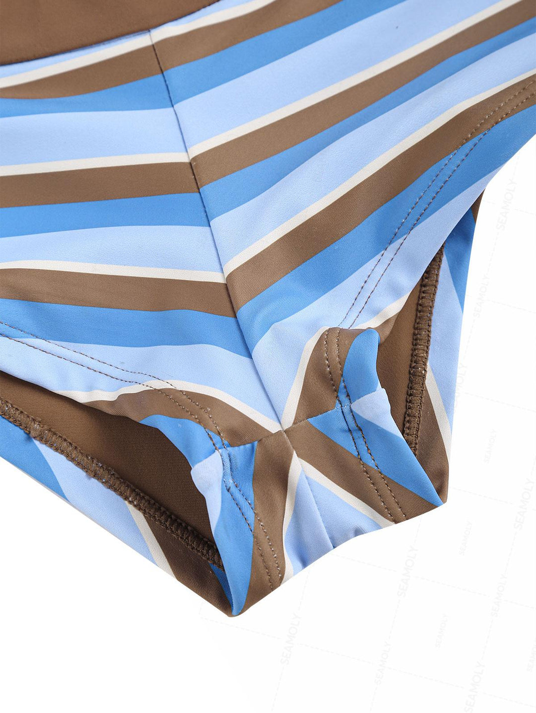 Seamolly Striped Contrast Binding Cheeky Boyshorts Bikini Set