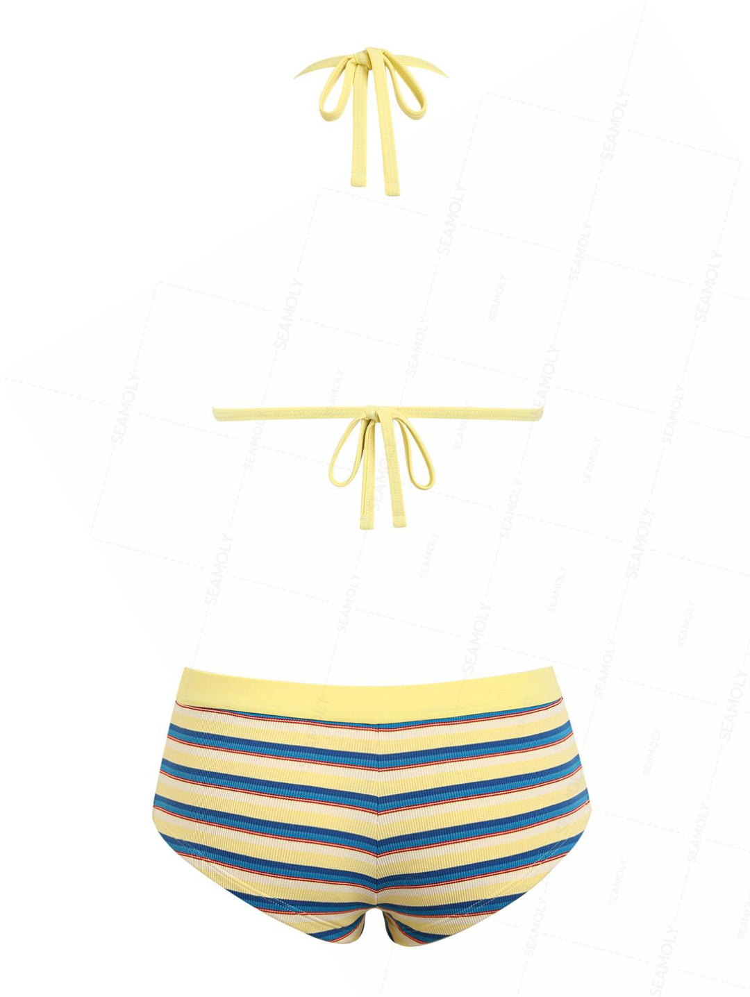 Seamolly Ribbed Striped Contrast Binding Cheeky Boyshorts Bikini Set