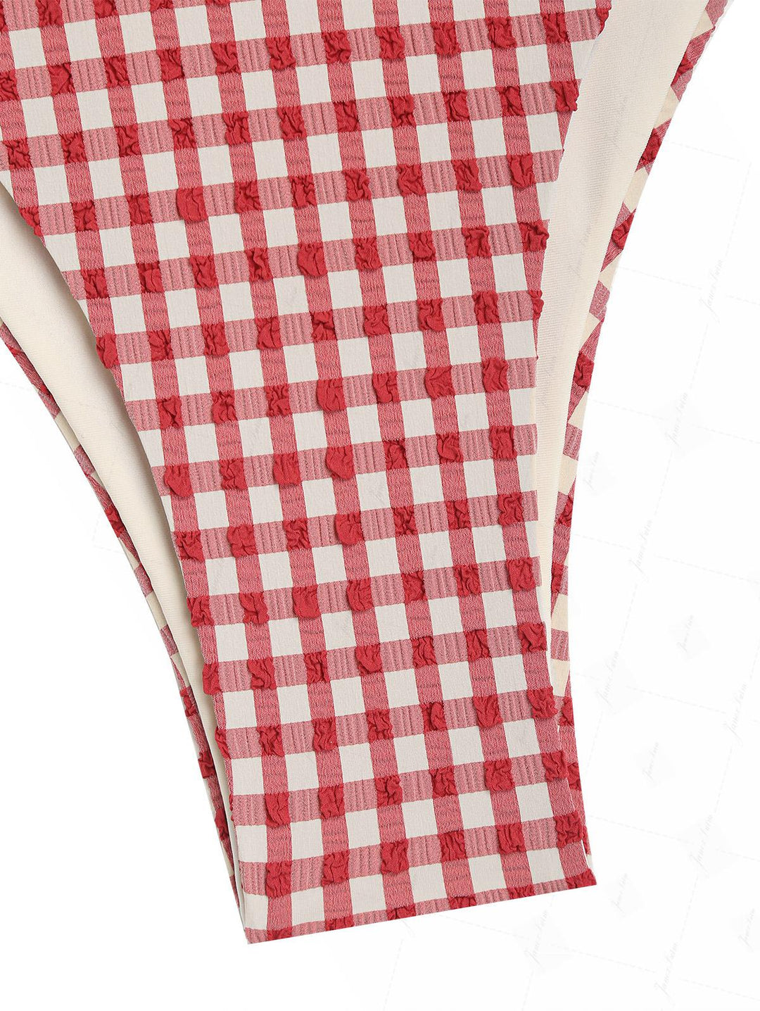 Pomegranate Red Gingham Textured O Ring Double Layer Bikini Set