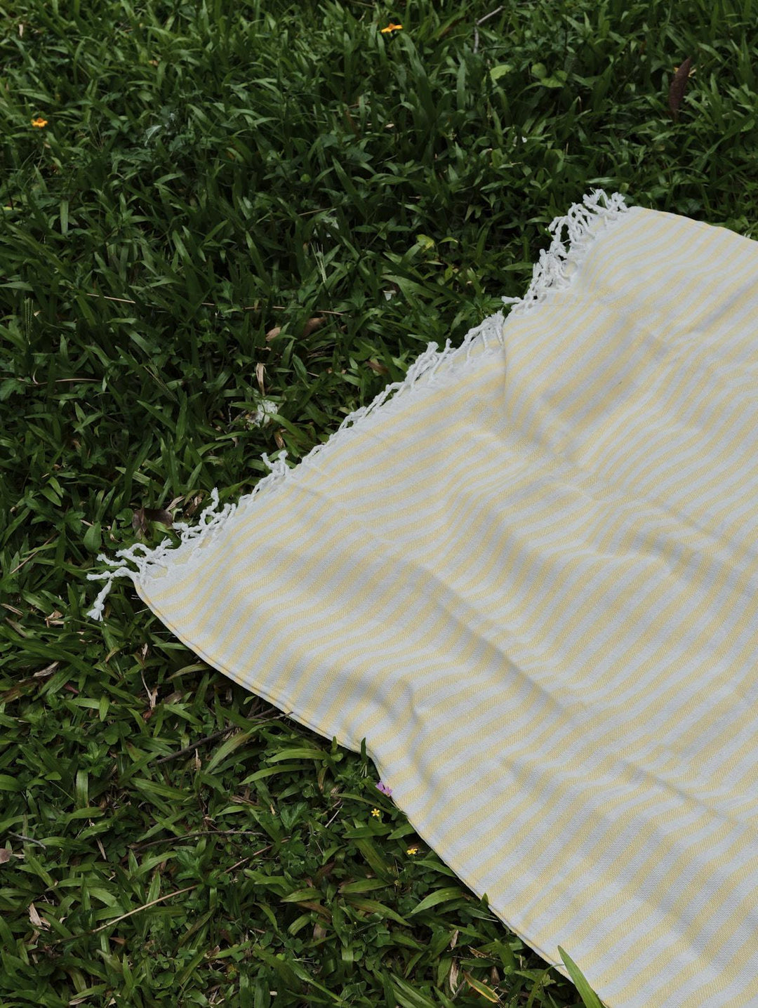 Cotton Striped Tassel Trim Beach Towel With Backpack