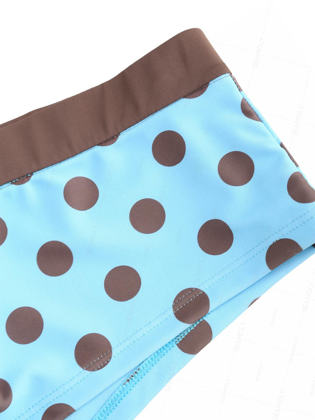 Seamolly Polka Dot Print Bikini Bottom Cheeky Swim Boyshorts