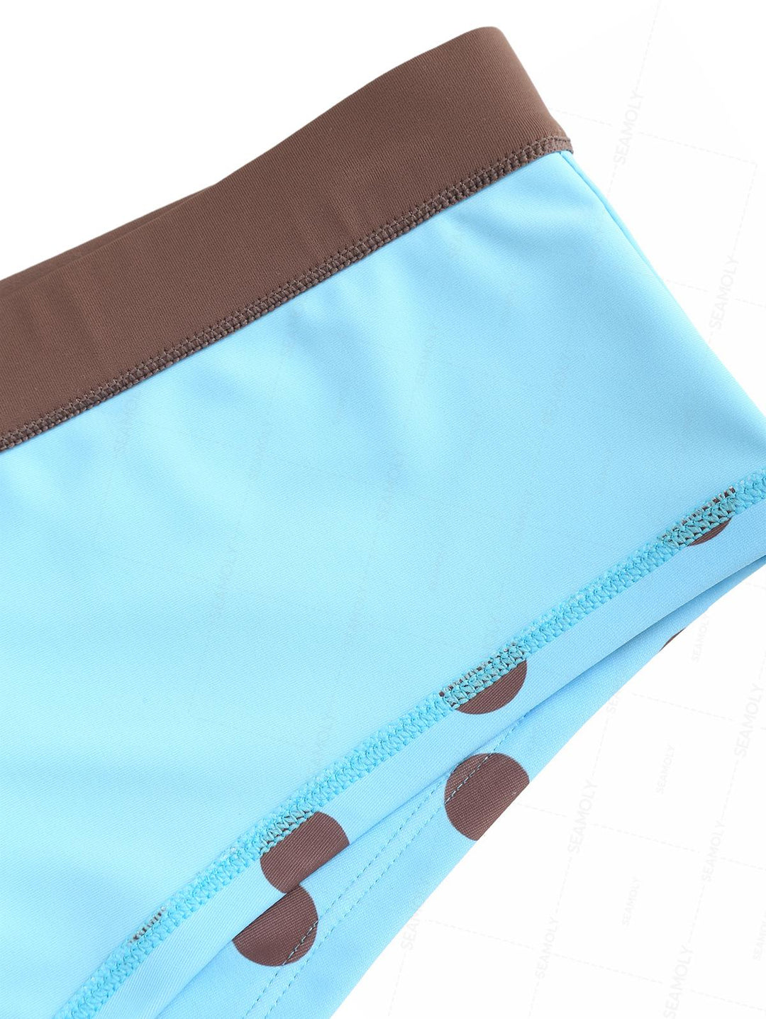 Seamolly Polka Dot Print Bikini Bottom Cheeky Swim Boyshorts