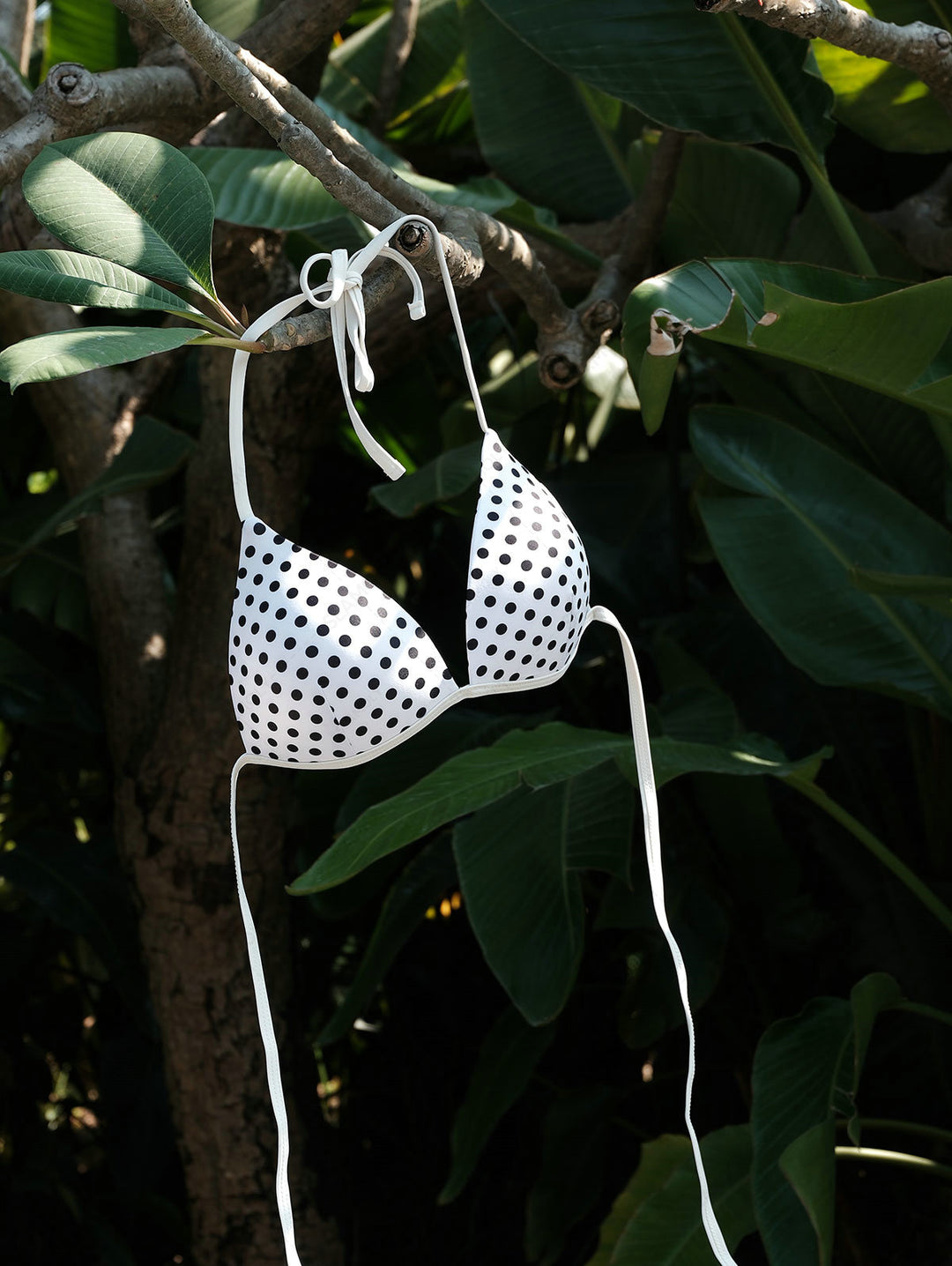 Seamolly Polka Dot Print Hard Cups Support Halter Triangle Bikini Set