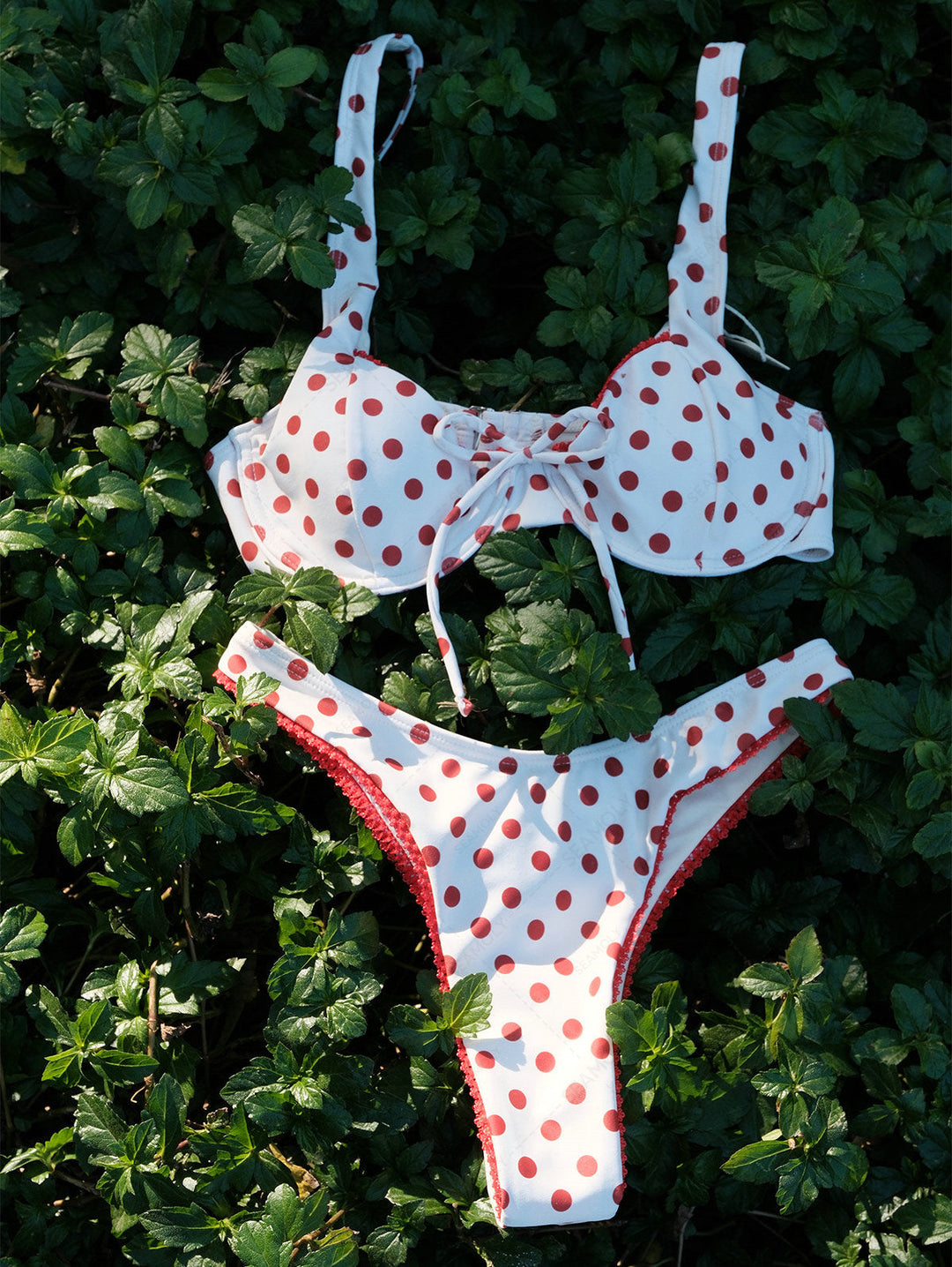 Last Chance Underwire Bikini Set