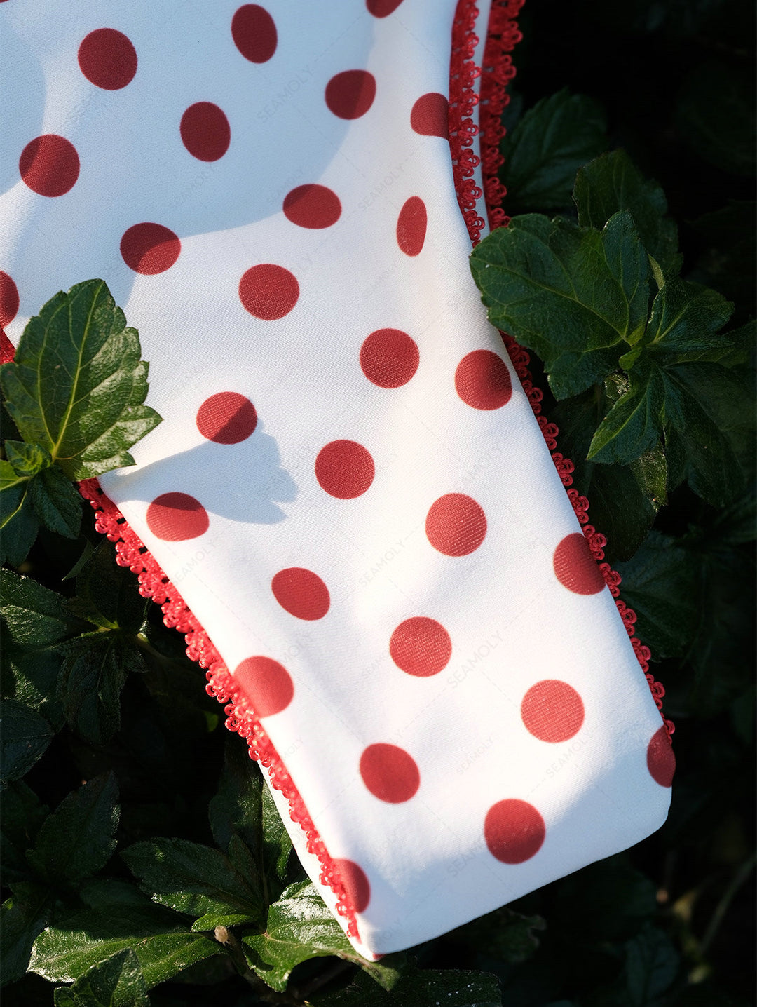 Seamolly Polka Dot Contrast Lace Trim Bowknot Decor Underwire Bikini Set