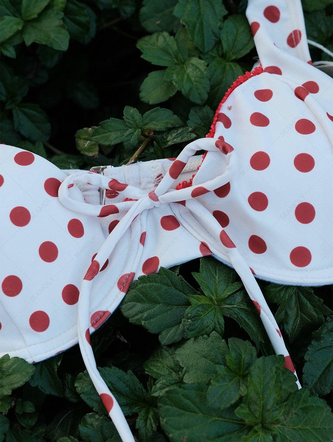 Seamolly Polka Dot Contrast Lace Trim Bowknot Decor Underwire Bikini Set