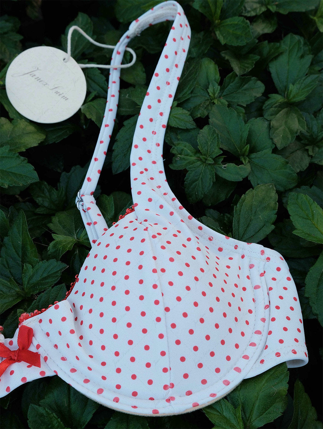 Crystal Cream Polka Dot Lace Bowknot Underwire Cheeky Boyshorts Bikini Set