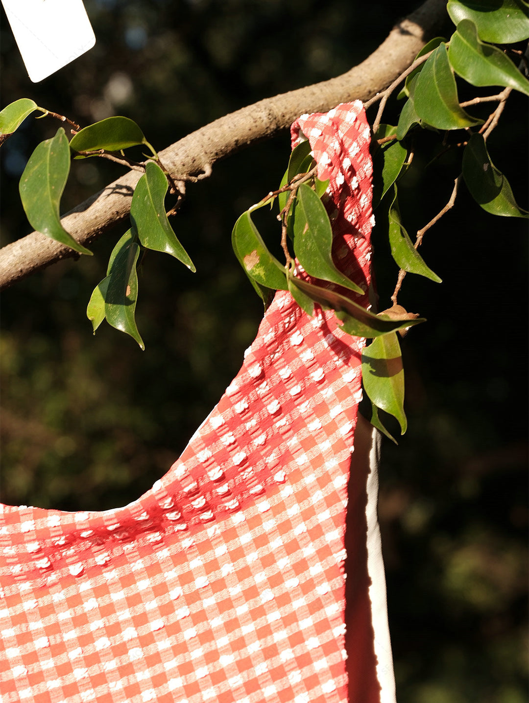 Seamolly Gingham Textured Bowknot Cinched Underwire Bikini Set