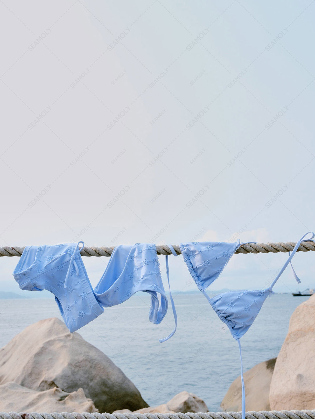 Seamolly Recycled Fabric Jacquard Lace Bowknot Cheeky Bikini Set