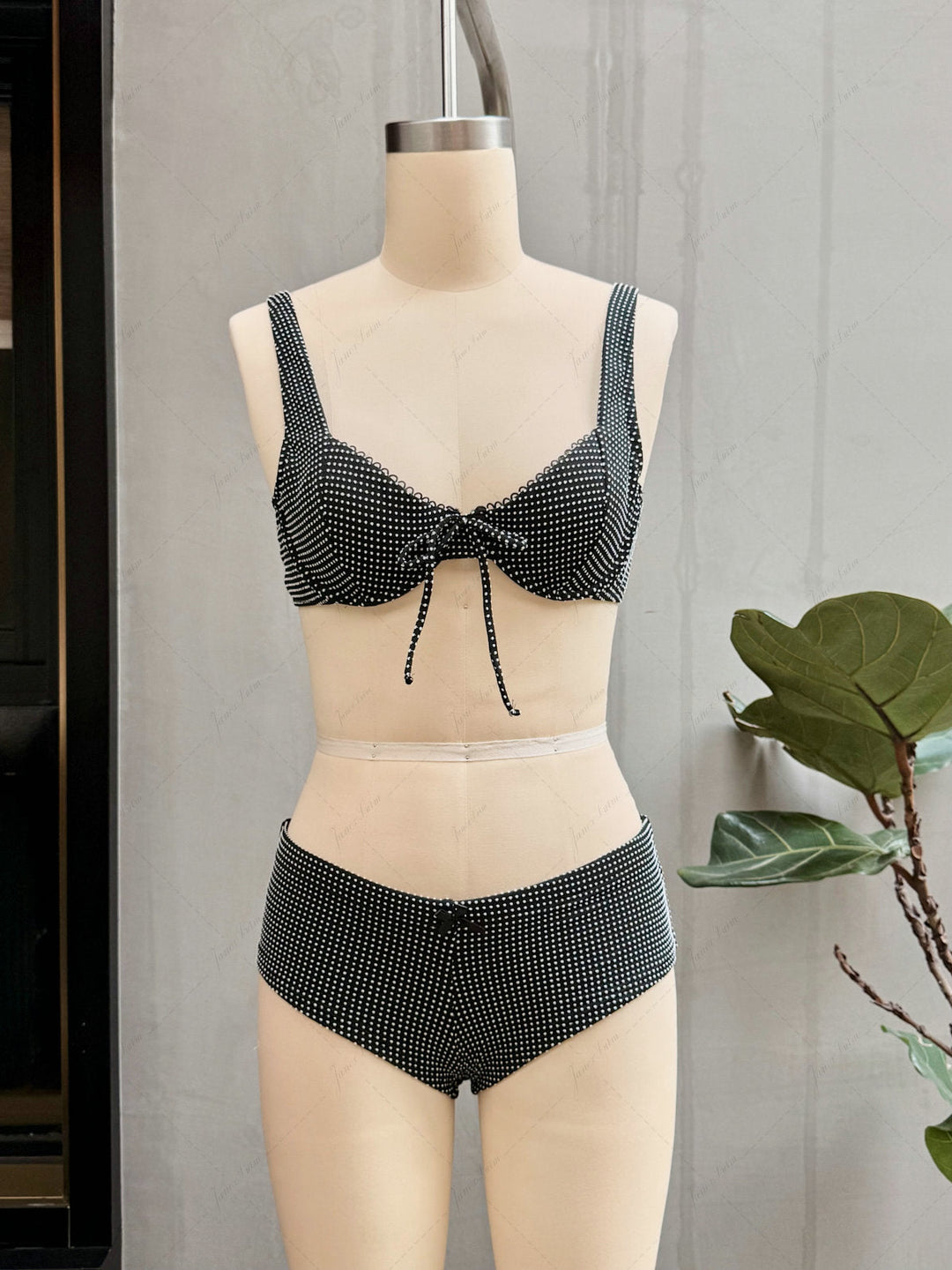 Janex Black Pin Dot Jacquard Fabric Picot Trim Underwire Bikini Set