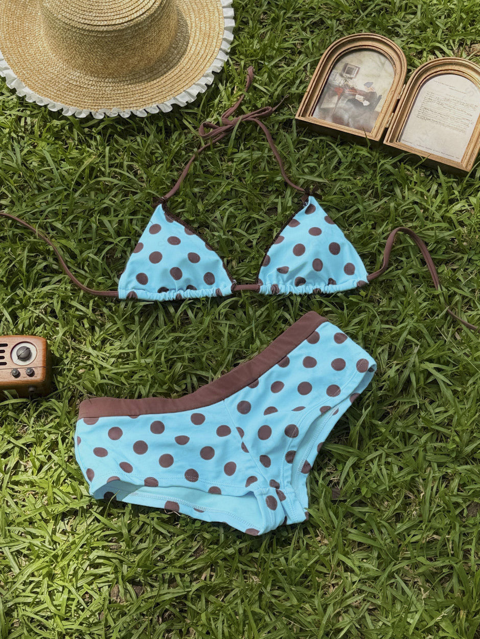 Seamolly Polka Dot Print Bikini Bottom Cheeky Swim Boyshorts