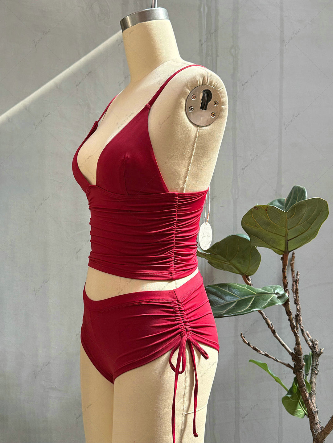 Red Wine Solid Color Ruched Plunging Neck Cinched Cheeky Boyshorts Tankini Set